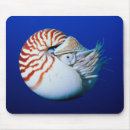 Search for nautilus mouse mats Underwater