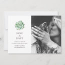 Search for succulent save the dates Greenery