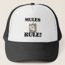 Search for mule hats Animals