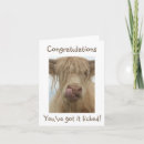 Search for scotland birthday cards Humour