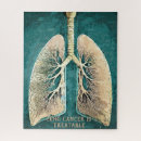 Search for lung Human anatomy