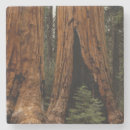 Search for hiking trails coasters Park
