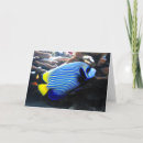 Search for angelfish cards Marine