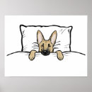 Search for shepherd dog posters Pets