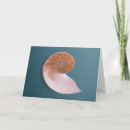 Search for nautilus shells cards Ocean
