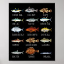 Search for saltwater fish posters Ocean