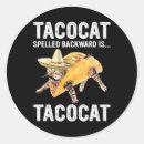 Search for lover stickers Cute cat