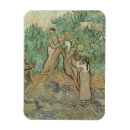 Search for orchard magnets Grove