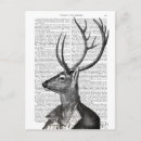 Search for deer postcards Cute deers