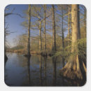 Search for refuges stickers Usa