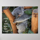 Search for koala bear posters Cute