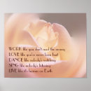 Search for soft rose posters Roses
