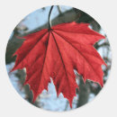 Search for canadian maple leaf stickers Canada