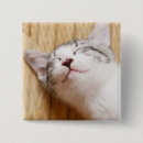 Search for part badges Cute animals