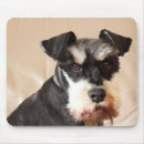Search for miniature schnauzer mouse mats Pet