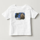 Search for interests tshirts Photography