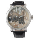 Search for moose watches Nature