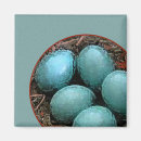 Search for robin blue magnets Nature