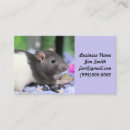 Search for rat business cards Pet