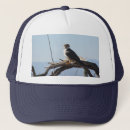 Search for hawk hats Falcon