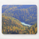 Search for valley mouse mats Switzerland