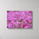 Search for glory canvas prints Botanical