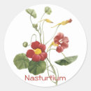 Search for nasturtium stickers Vintage