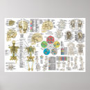 Search for test posters Chart