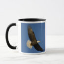 Search for homer alaska mugs Haliaeetus
