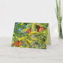 Search for shrub cards White
