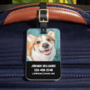 Search for corgi luggage tags Puppy