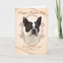 Search for boston terrier mothers day cards Pet