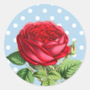 Search for beautiful red rose stickers Floral