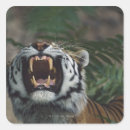 Search for threat stickers Wildlife