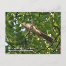 Search for bills postcards Nature