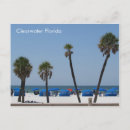 Search for plams postcards Palm trees