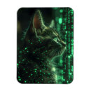 Search for cute rectangular magnets Cool