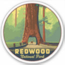 Search for redwood national park stickers Redwoods
