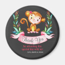 Search for chalkboard magnets Jungle