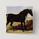 Search for cheval accessories Antoine