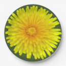Search for weed paper plates Green