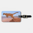 Search for barren accessories Usa