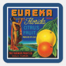 Search for vintage florida oranges stickers Citrus