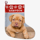 Search for pet christmas stockings Picture