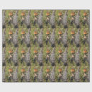 Search for feeding gift wrap Nature