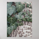 Search for wooden pattern posters Nature