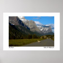 Search for coyotes posters Mountains