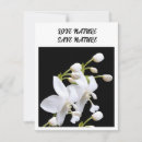 Search for earth note cards Nature