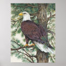 Search for eagle posters America