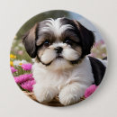Search for shih tzu accessories Puppy